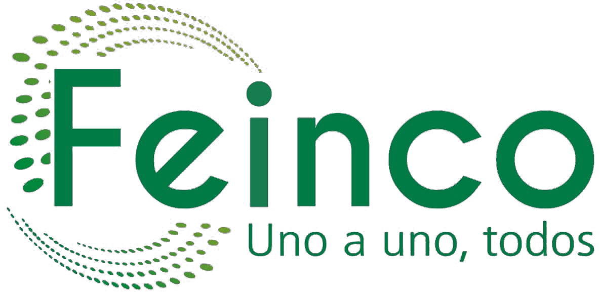 Logo_Feinco